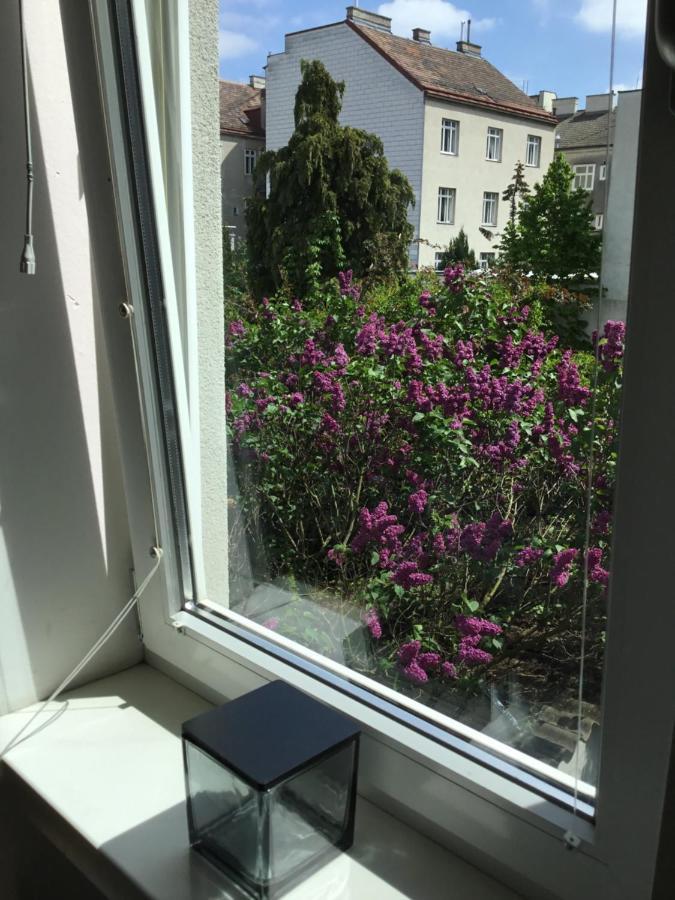 Earl Grey Apartment Wien Luaran gambar